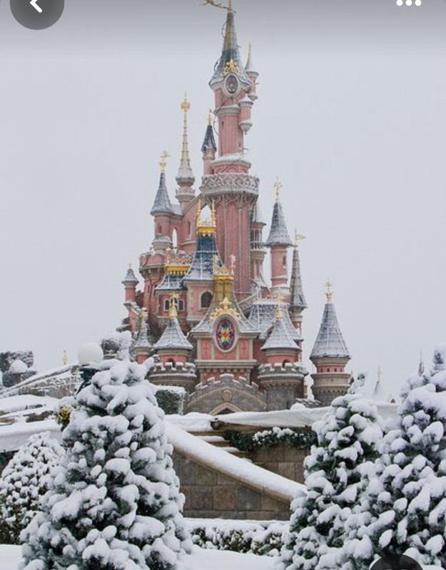 Screenshot_20231225_225250_Pinterest