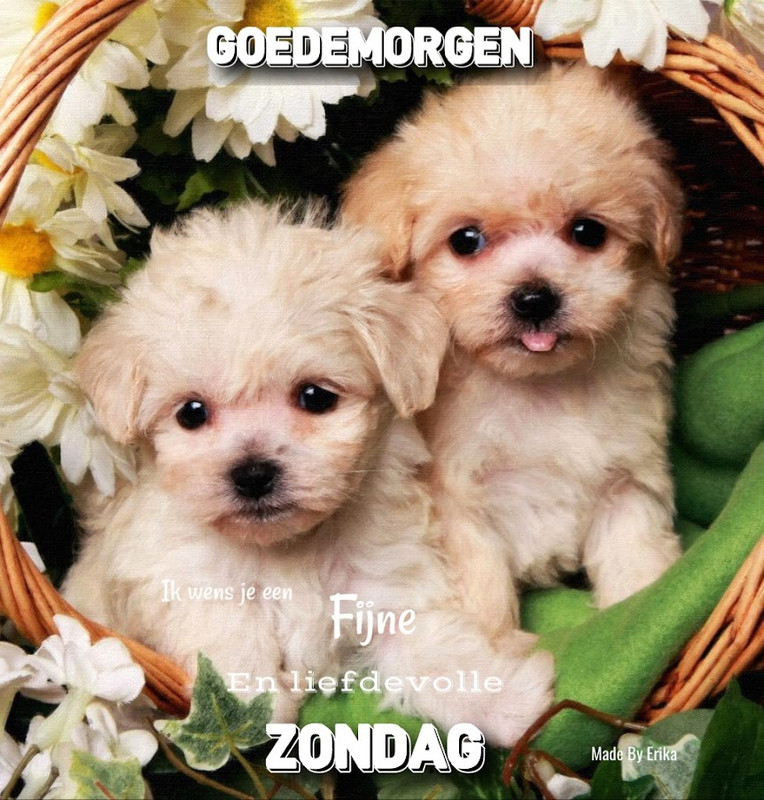 WELKOM OP MIJN BLOGJE HTML leren