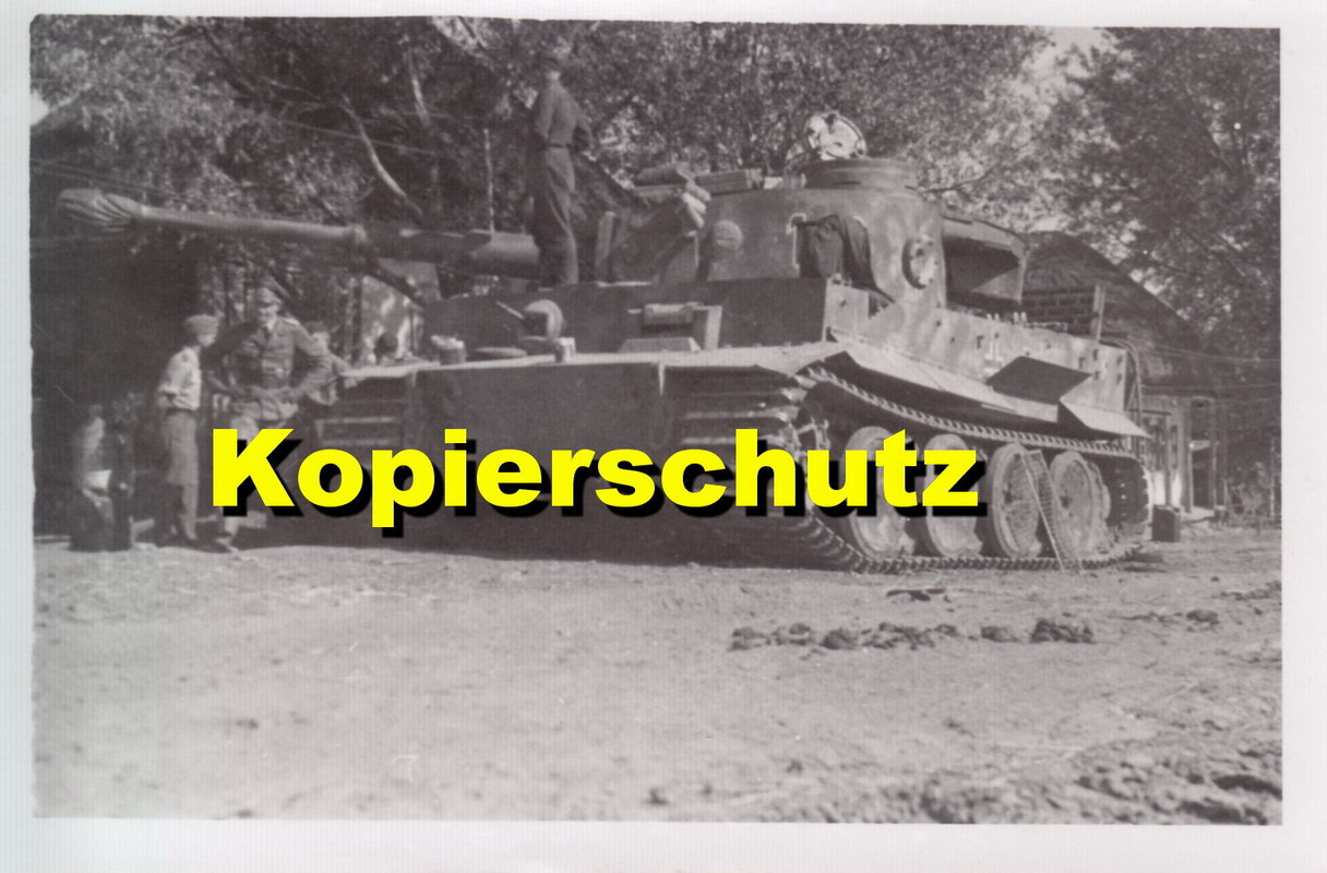 Tiger. Heeresgruppe Süd. In Story Problurskoje J