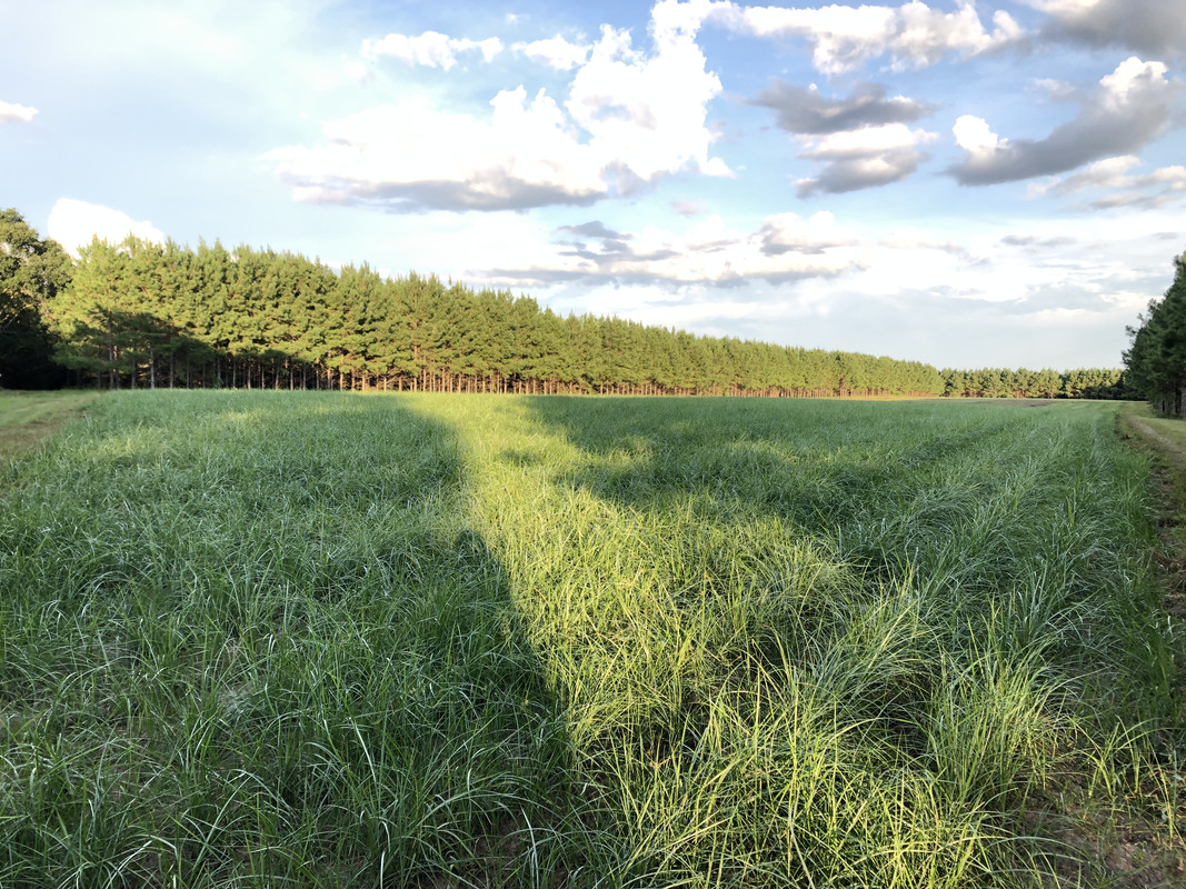 D1A5CBE8-43A1-428F-911A-050A5940D3D2