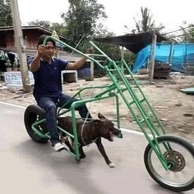 picdump-kw35-2022-103.jpg