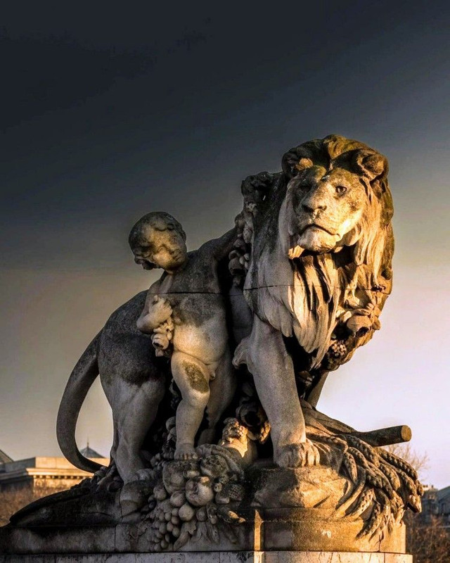 JEUNESSE PRÉCIEUSE LION