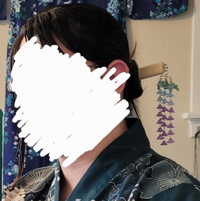 20220421_Wisteria alt