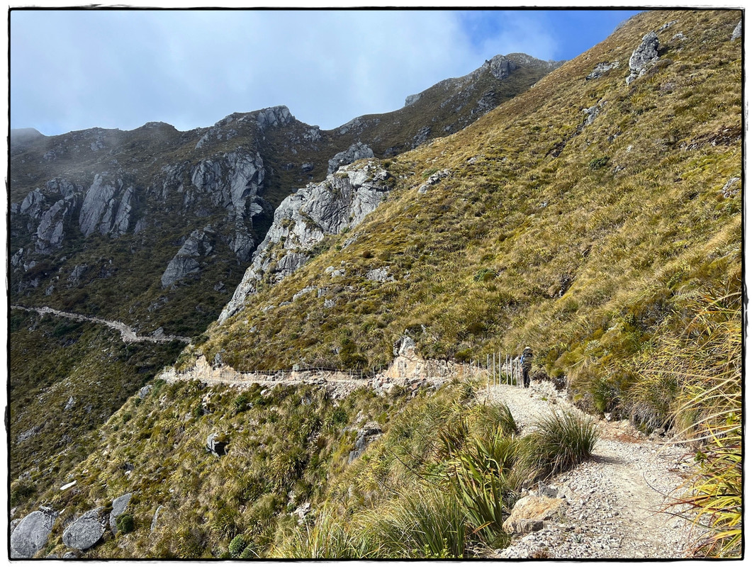 The Old Ghost Road (marzo 2024) - Escapadas y rutas por la Nueva Zelanda menos conocida (30)