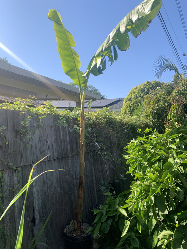 557D7987-55AF-4254-A69C-03B781096686