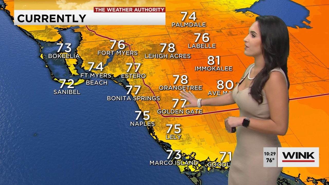 02.09 - 15.00.00 - WINK News at 10 00 a.m..ts_snapshot_00.30.25.935