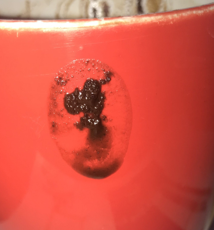 21C3F9FA-8428-45A8-9ED0-DBA5C6549A76