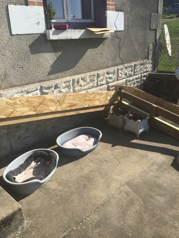 [Image: 1-C3035-DD-6-D1-A-4366-9113-A5319616-F5-AB.jpg]