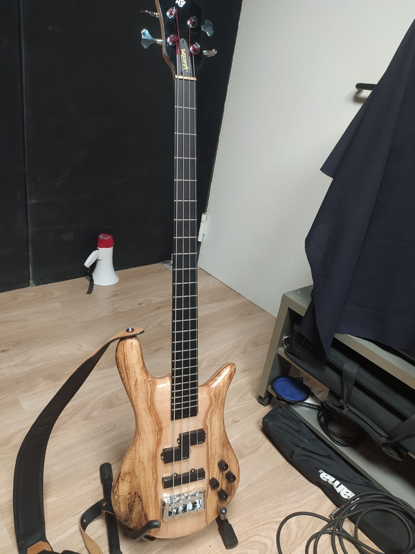 spector
