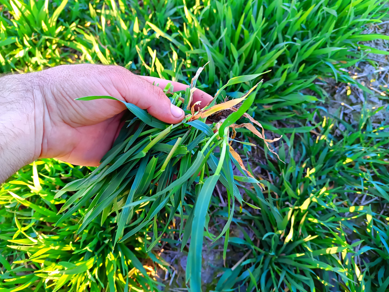 IMG 20260308 162402 346