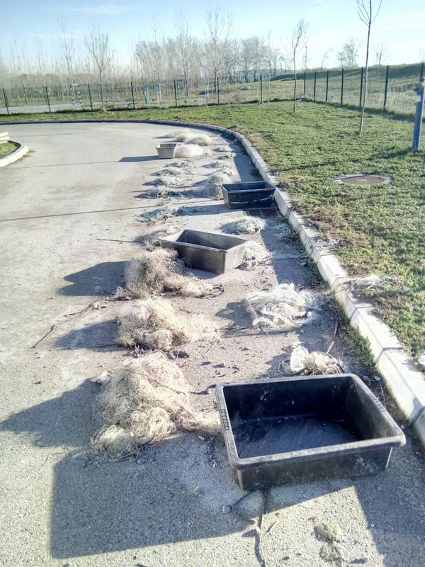 kamenica  (21)