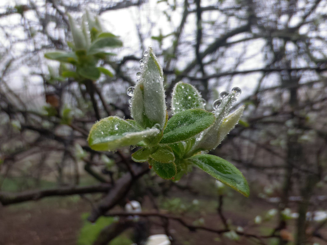 339165679-171557889125772-61883835664372