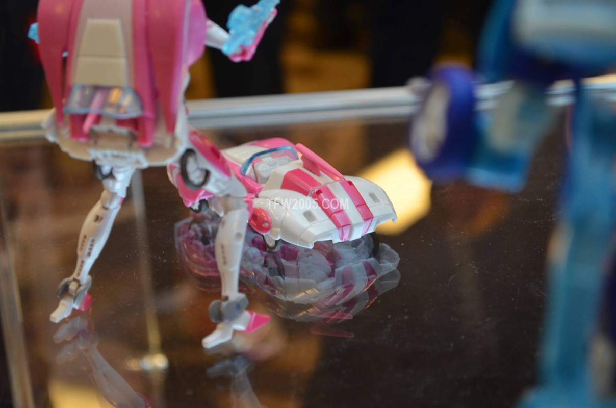 Botcon-201600013-4