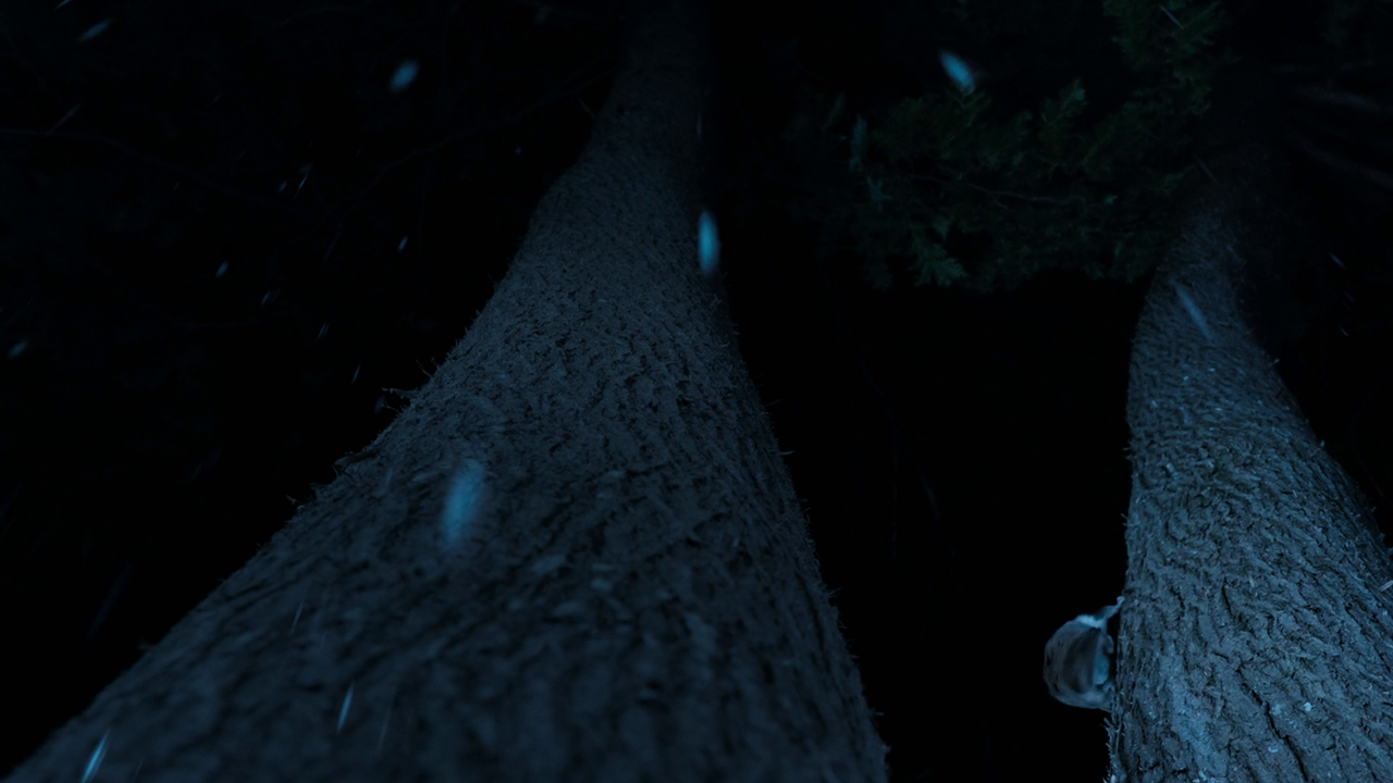 vlcsnap-2022-09-22-11h01m00s735