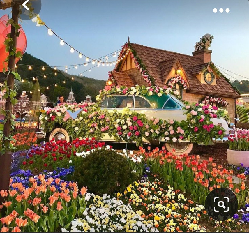 Screenshot_20231017_220502_Pinterest