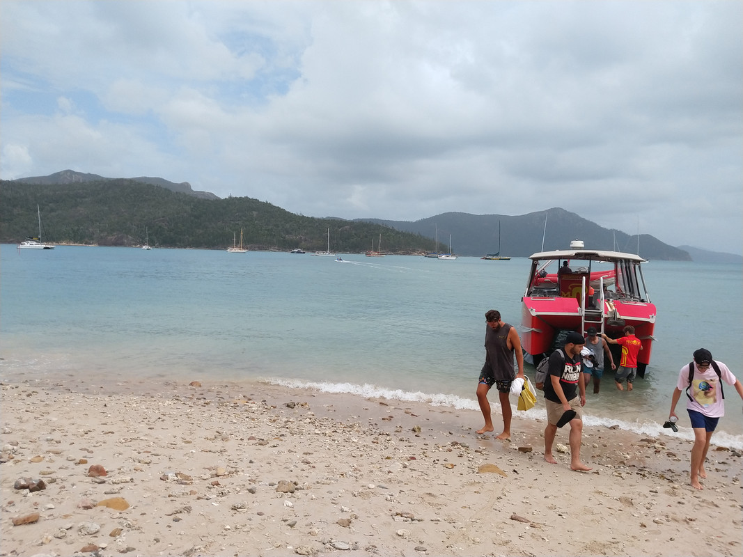 EXCURSION A WHITSUNDAYS - AUSTRALIA , "QUE GRAN PAIS" (2)