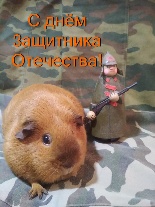 открытка IMG_20200223_173703