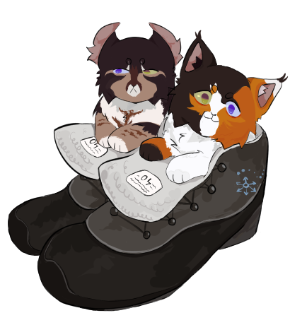 трехцветныйкот