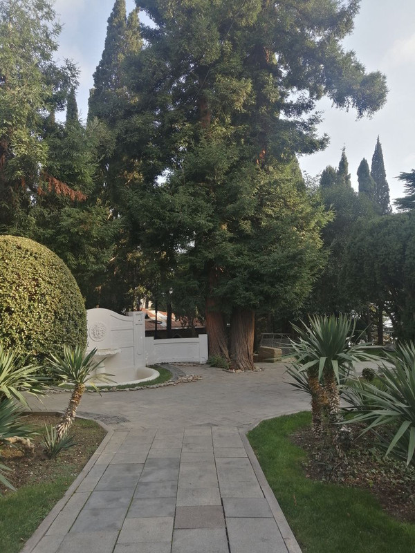 IMG_20230124_200343_500