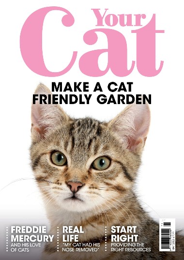 Your Cat - May / 2023