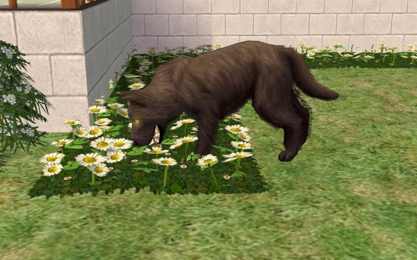 Lakewood_round3_127-600x375