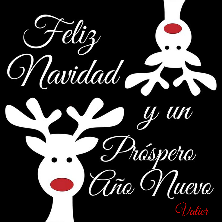 navidad-23