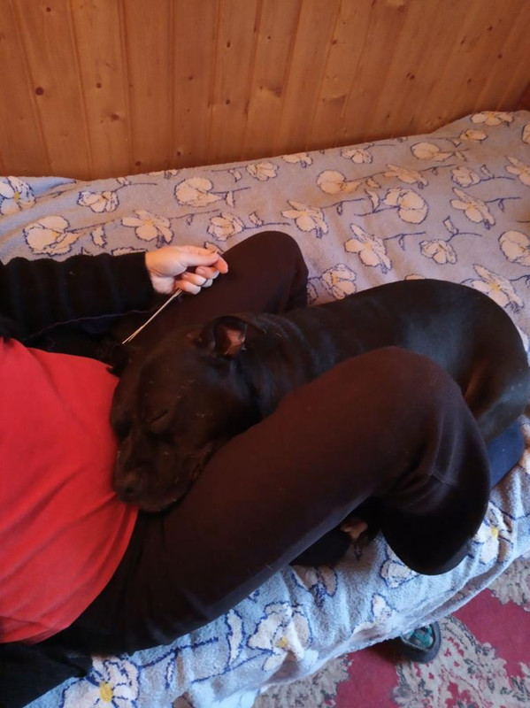 0AB6C3F5-8712-4F77-9D5A-BA697720D7F8