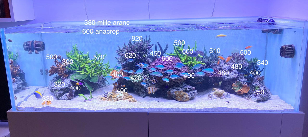 A5F5776F-9915-4CB6-9058-1DB19280BEC5