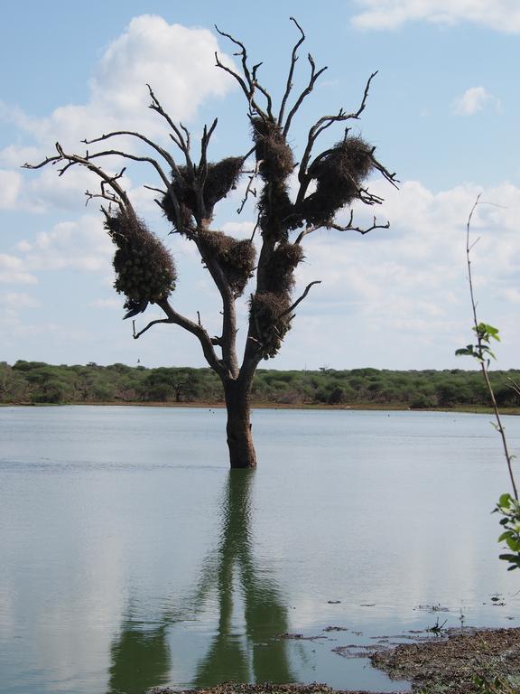 Такая близкая Африка. (ЮАР. 22 дня и 4200 км. Ноябрь-Декабрь) Такая близкая Африка. (ЮАР. 22 дня и 4200 км. Ноябрь-Декабрь)