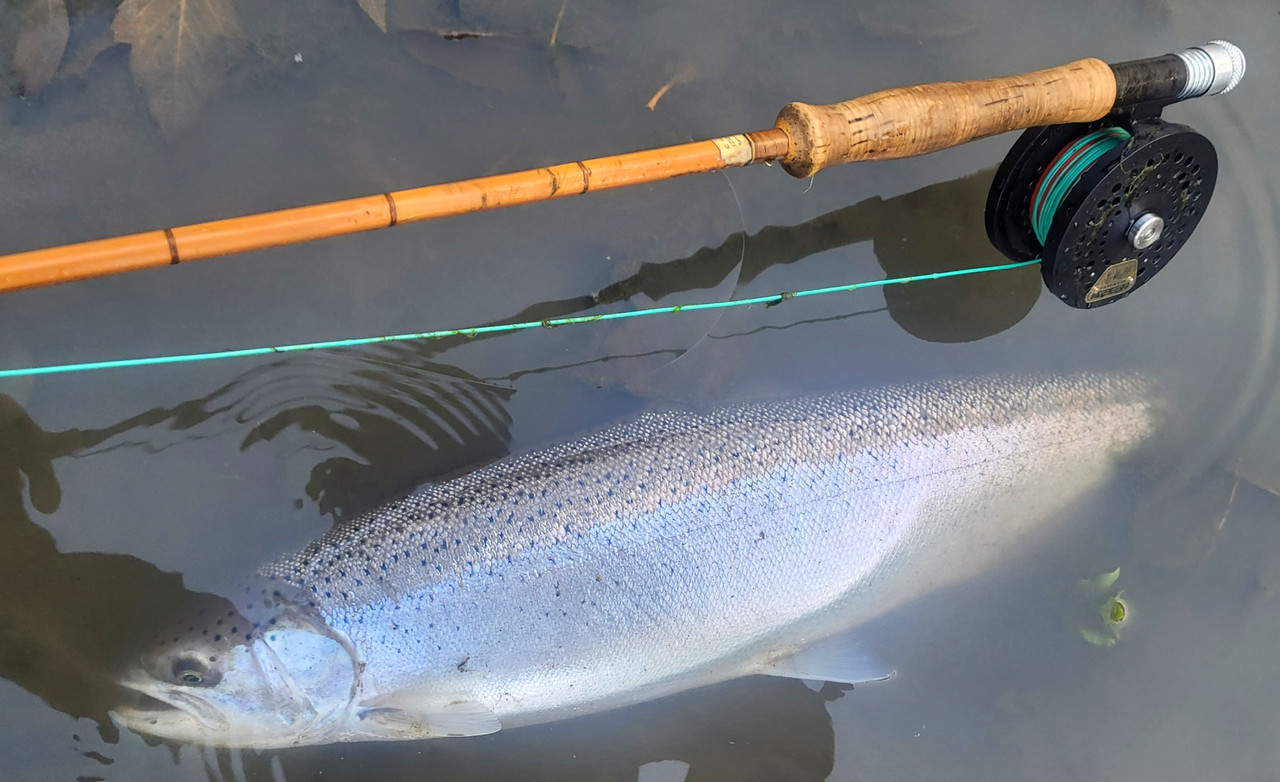 Resized_20231216_083717 (1)