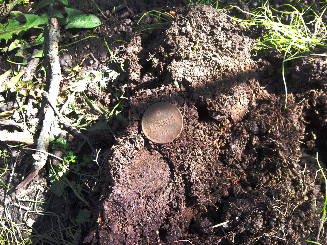 2015-05-09 @14-58-42 - 5 penniä 1915, puisto