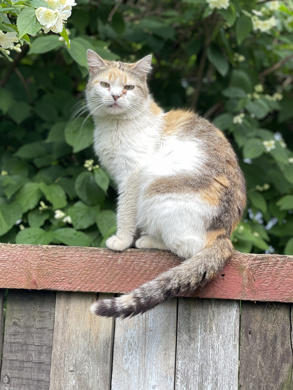 68E31613-AB89-4B45-AB53-8194CADB5C32