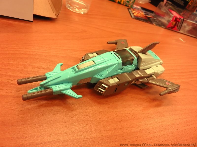 13256103_272535793096855_5500820868056548148_n