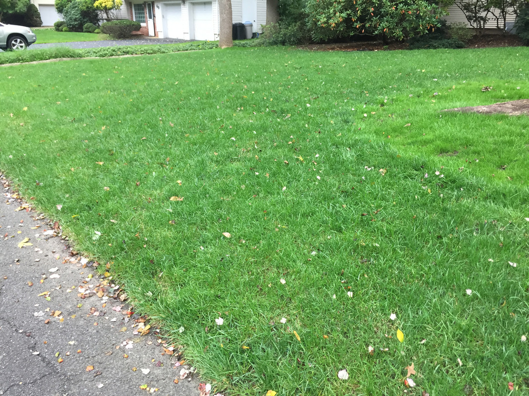 8C54D37F-C994-404F-A2B3-14EF4B9C6361