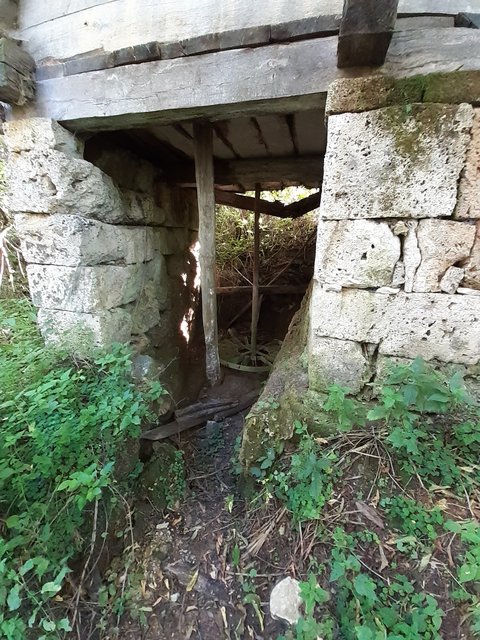 Slika