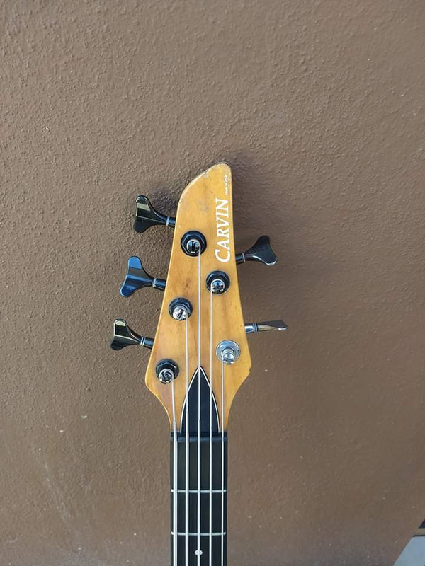 WhatsApp Image 2020-04-24 at 10.23.35 AM (1)