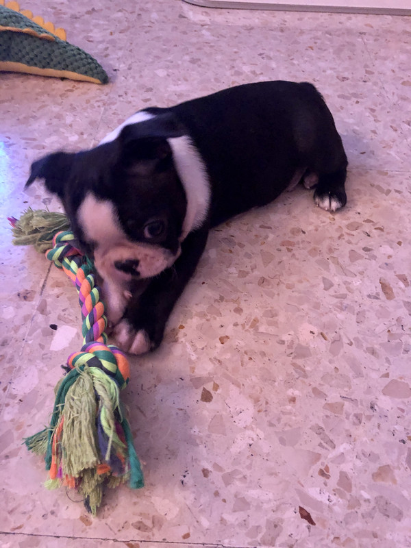 B4CC2683-B2C3-4143-B2F1-E5BAEA2890D0_1_201_a