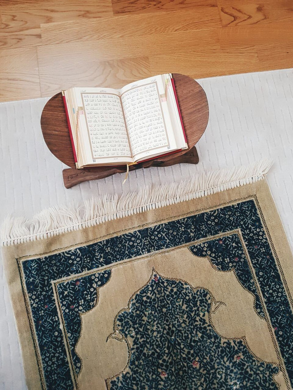 6EE38F85-A5D2-40F4-BC13-5679B66C5E65