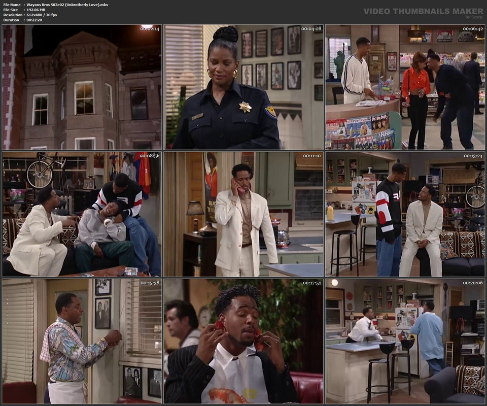 Wayans Bros S03e02 (Unbrotherly Love).mkv