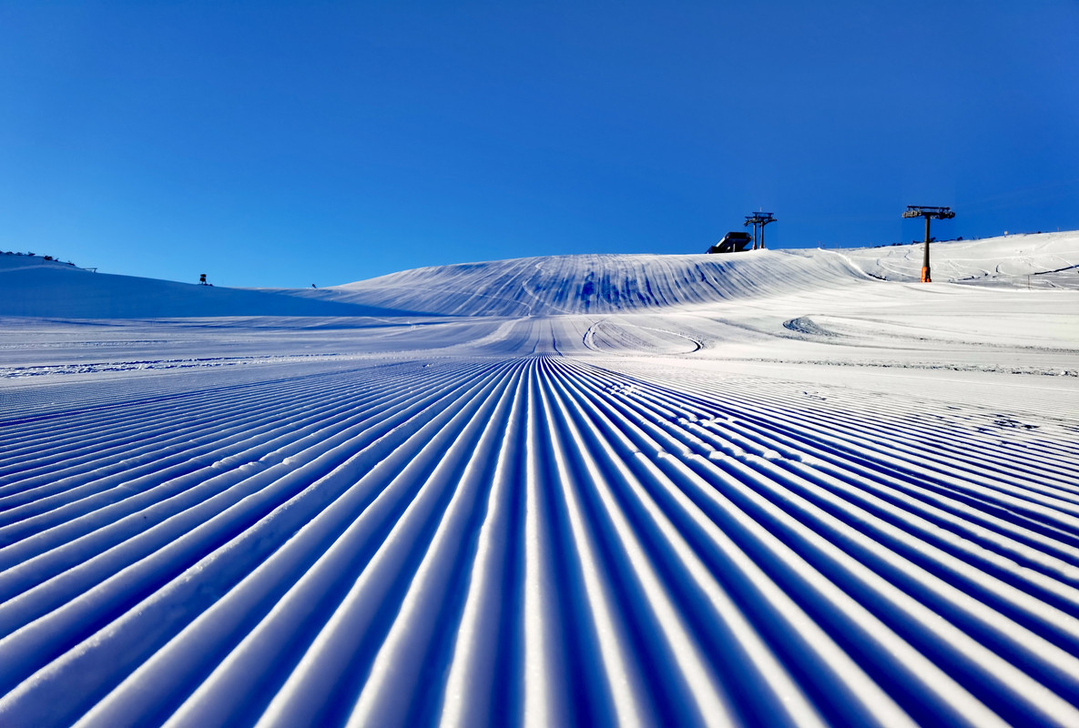 IMG_20220119_084310_edit_206764923289804