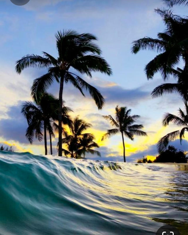 Screenshot_20230611_211538_Pinterest