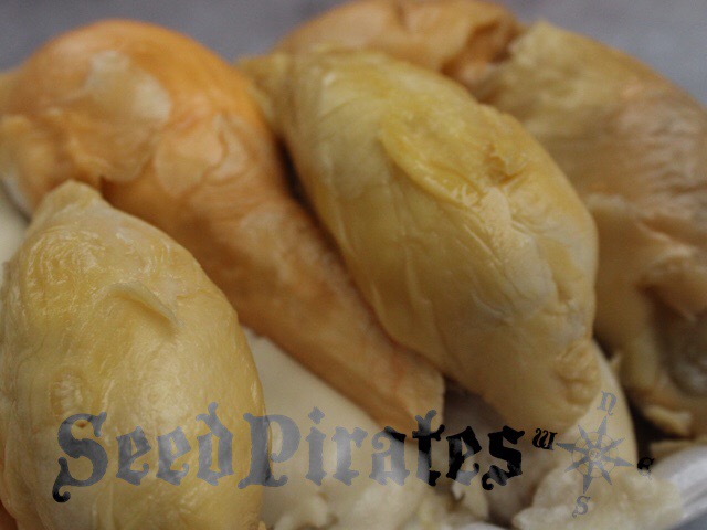 F6593041-6DDC-4799-B13C-7064861C7102