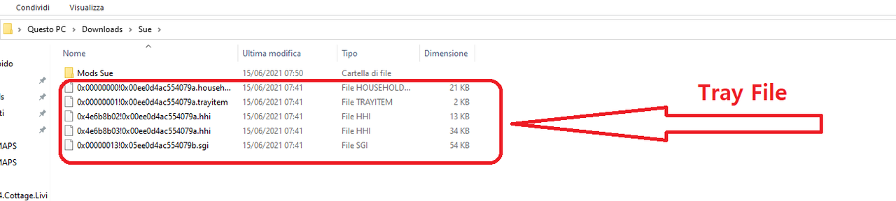 Immagine.png
