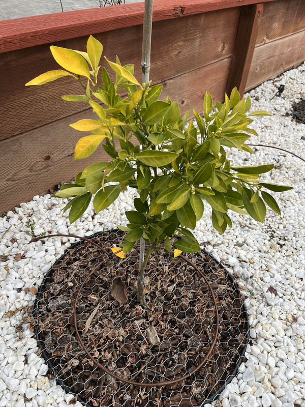 FE078E1B-1B25-439F-8D00-19354E1E5B22