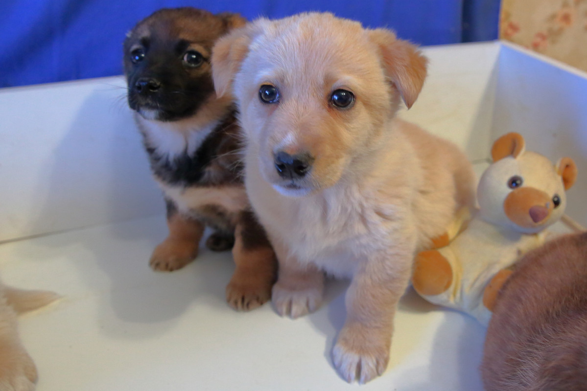 61DD00AD-7624-4F8E-BA8D-62C8698C35CF