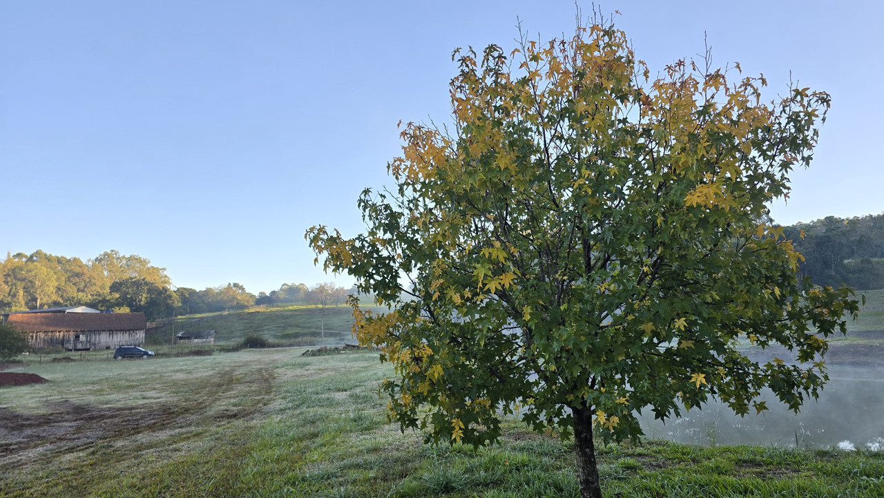 20260520-074424.jpg