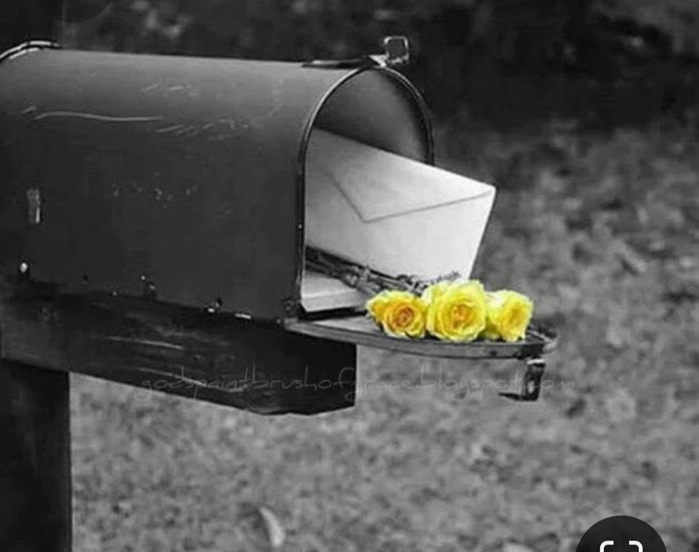 Screenshot_20230412_190931_Pinterest