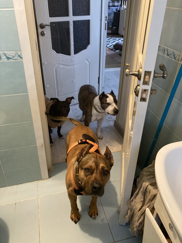 48CFE65D-99EF-4D0D-B5C1-275F8BFB6A86