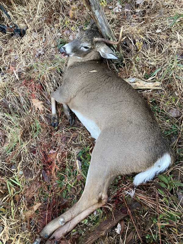 DF2C0AB3-F7C2-416F-AC76-B77E07341A95