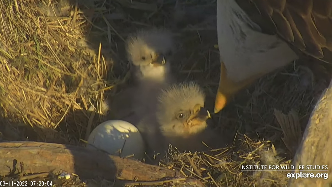 206481F7-10B6-49D5-A484-CA89DDE3C00E